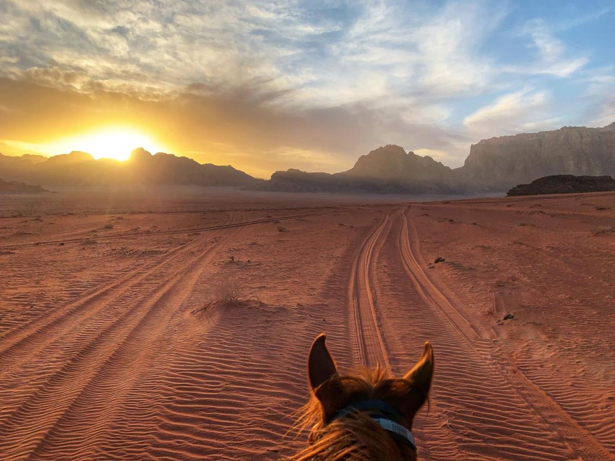 Wadi Rum Bedouin Tour With A Camp Buitenkant foto