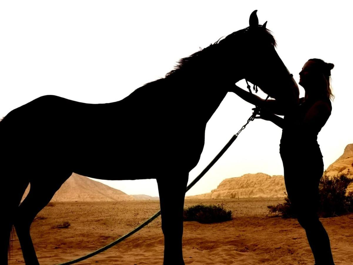 Wadi Rum Bedouin Tour With A Camp Buitenkant foto