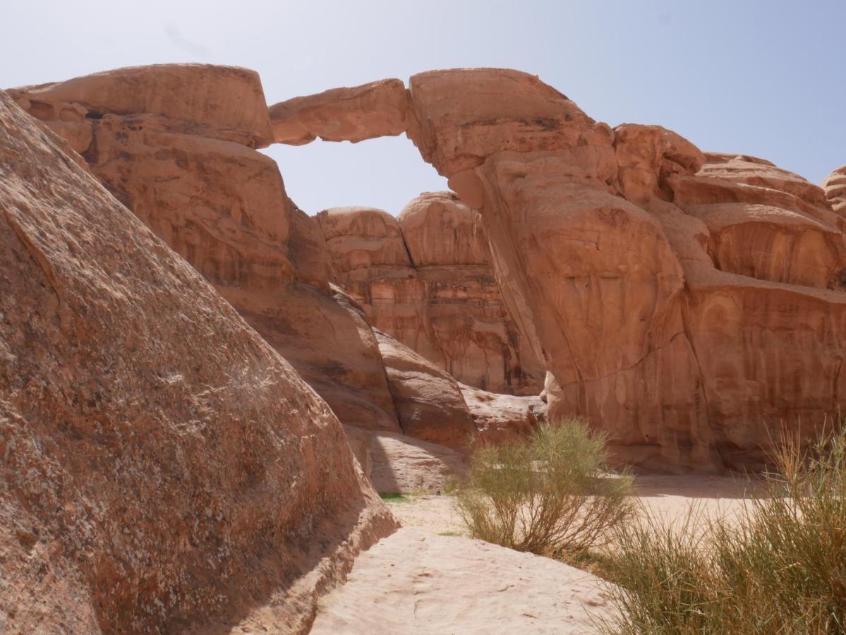 Wadi Rum Bedouin Tour With A Camp Buitenkant foto