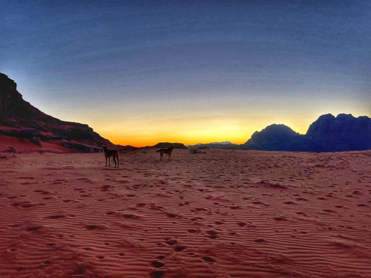 Wadi Rum Bedouin Tour With A Camp Buitenkant foto
