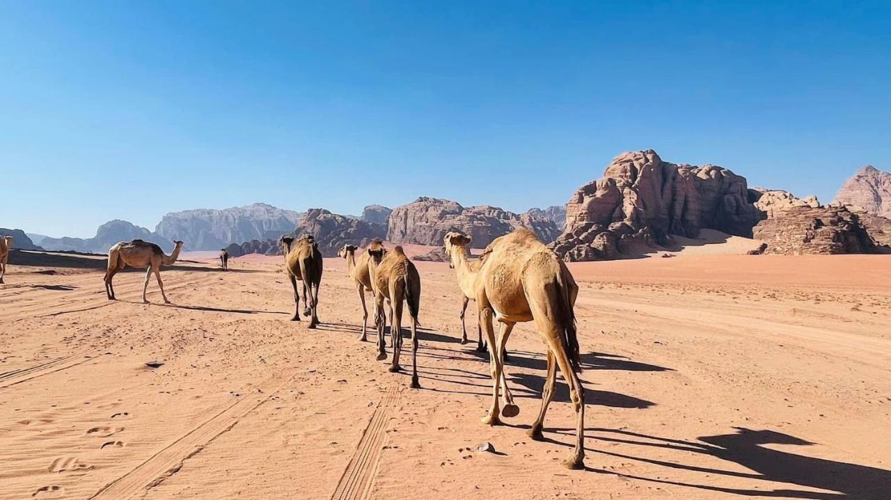 Wadi Rum Bedouin Tour With A Camp Buitenkant foto